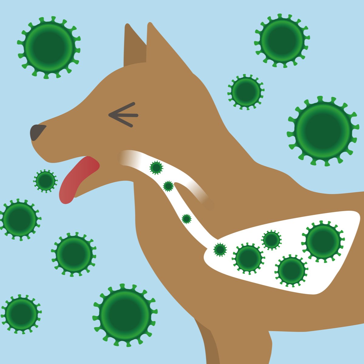 CBD Being Looked At For Potentially Treating Canine Influenza